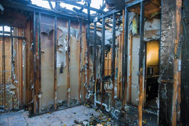 Professional Fire Damage Removal technician working in Constantine, MI